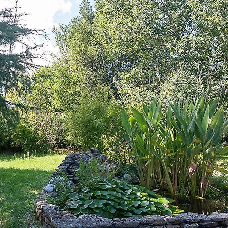 Au Detour Des Vignes Bed and Breakfast Ordonnac Εξωτερικό φωτογραφία
