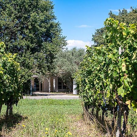 Au Detour Des Vignes Bed and Breakfast Ordonnac Εξωτερικό φωτογραφία
