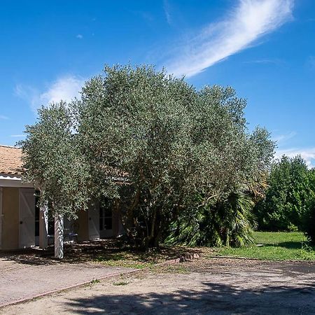 Au Detour Des Vignes Bed and Breakfast Ordonnac Εξωτερικό φωτογραφία