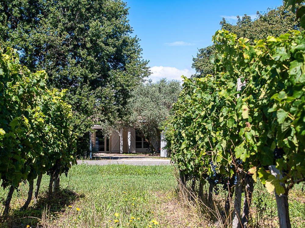Au Detour Des Vignes Bed and Breakfast Ordonnac Εξωτερικό φωτογραφία