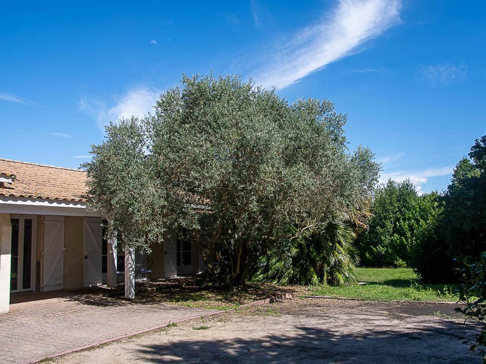 Au Detour Des Vignes Bed and Breakfast Ordonnac Εξωτερικό φωτογραφία